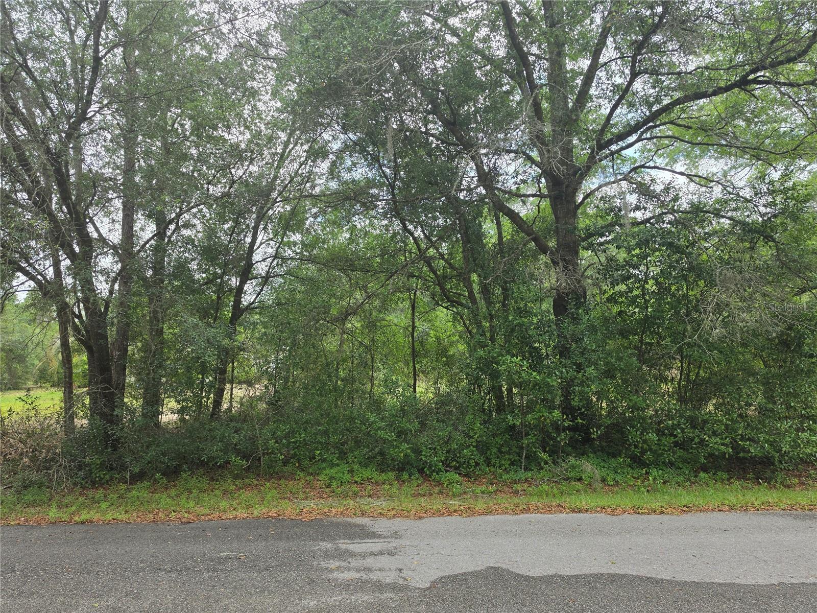 RAINBOW LAKE ESTATES SEC M - Land