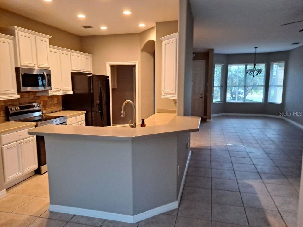 Photo of 13534 Biscayne Grove Lane, Grand Island, FL 32735 (MLS # TB8451478)