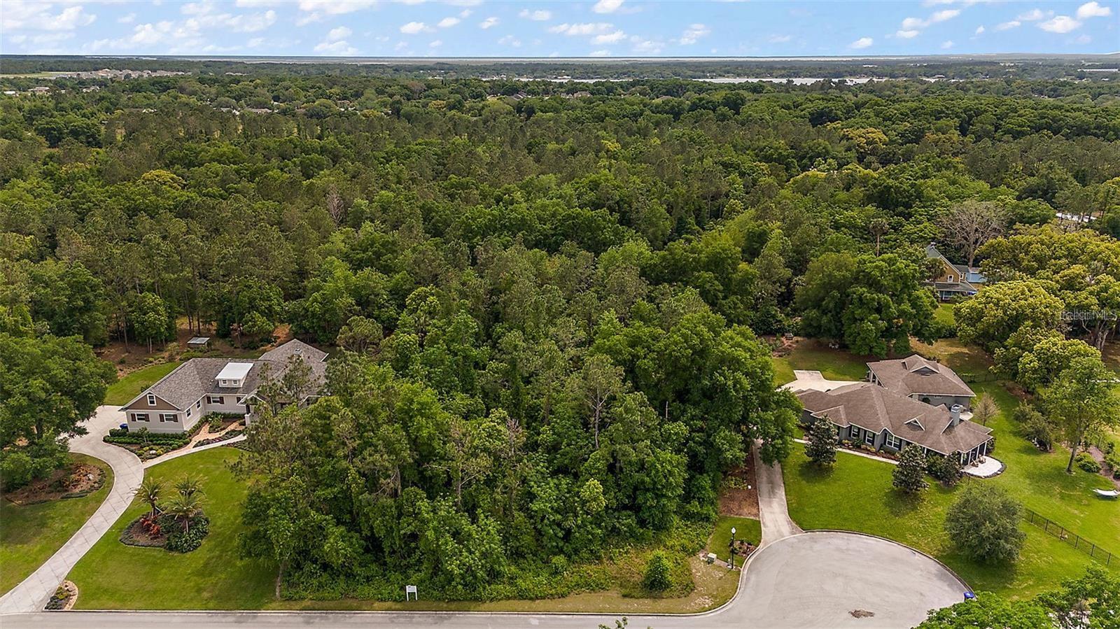 BUILD YOUR NEW CUSTOM HOME ON A VERY PRIVATE ONE ACRE LOT IN ONE OF MOUNT DORA'S PREMIER COMMUNITIES. THERE IS AMPLE SPACE ON THE LOT FOR AN ADU MAKING MULTI GENERATIONAL LIVING A REAL POSSIBILTY! Welcome to Chesterhill Estates in beautiful Mount Dora! Outstanding opportunity to build your dream home on a magnificent elevated home site in one of the areas most sought after neighborhoods. One of Orange County's best kept secrets and only a short drive from historic downtown Mount Dora. This amazing one-acre site is not only high & dry but is located in perhaps one of the quietest and most secluded parts of the highly desired Chesterhill Estates custom home community. Currently, several other luxury homes are in various stages of construction and few lots remain. You can even bring your own builder and build when you’re ready. Seller is a Licensed Florida Real Estate Broker. Seller Financing available.