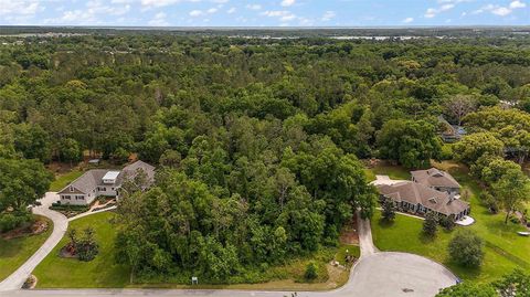 7077 NORNE LANE MOUNT DORA FL 32757