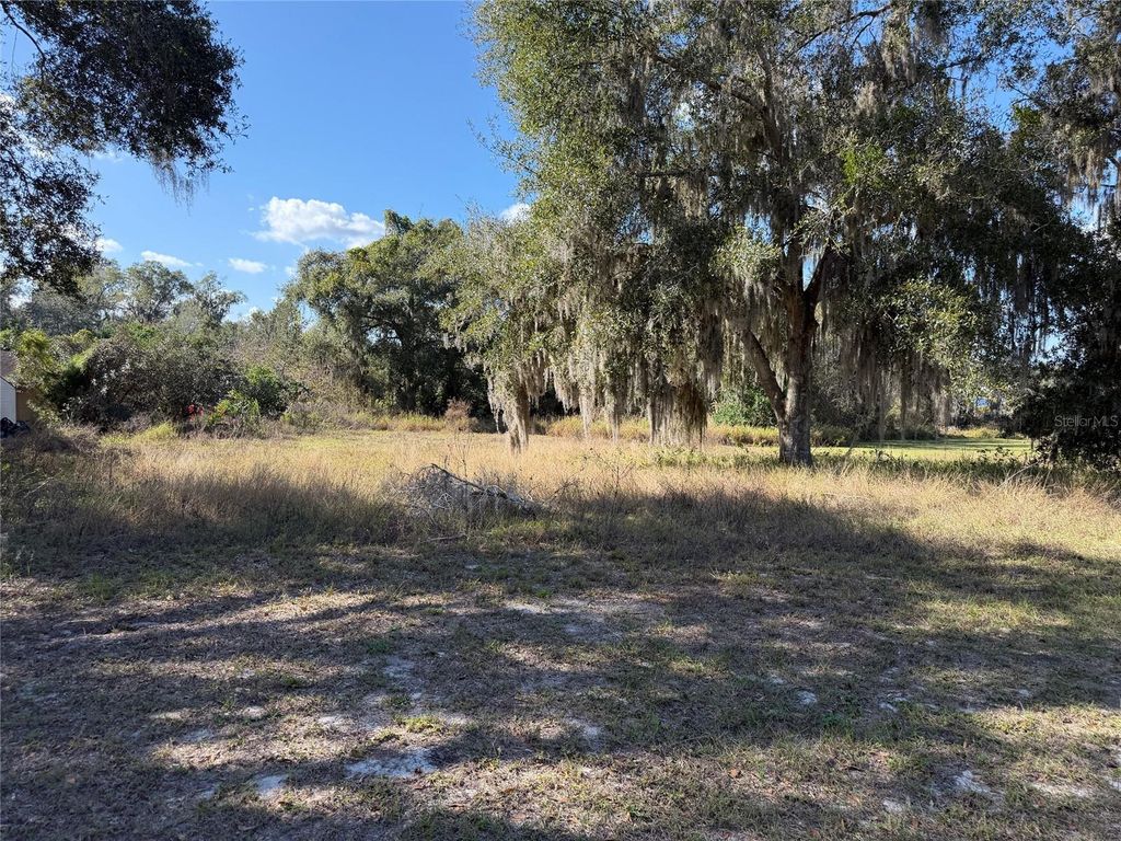 Photo of Mohawk Street, Mascotte, FL 34753 (MLS # TB8458528)