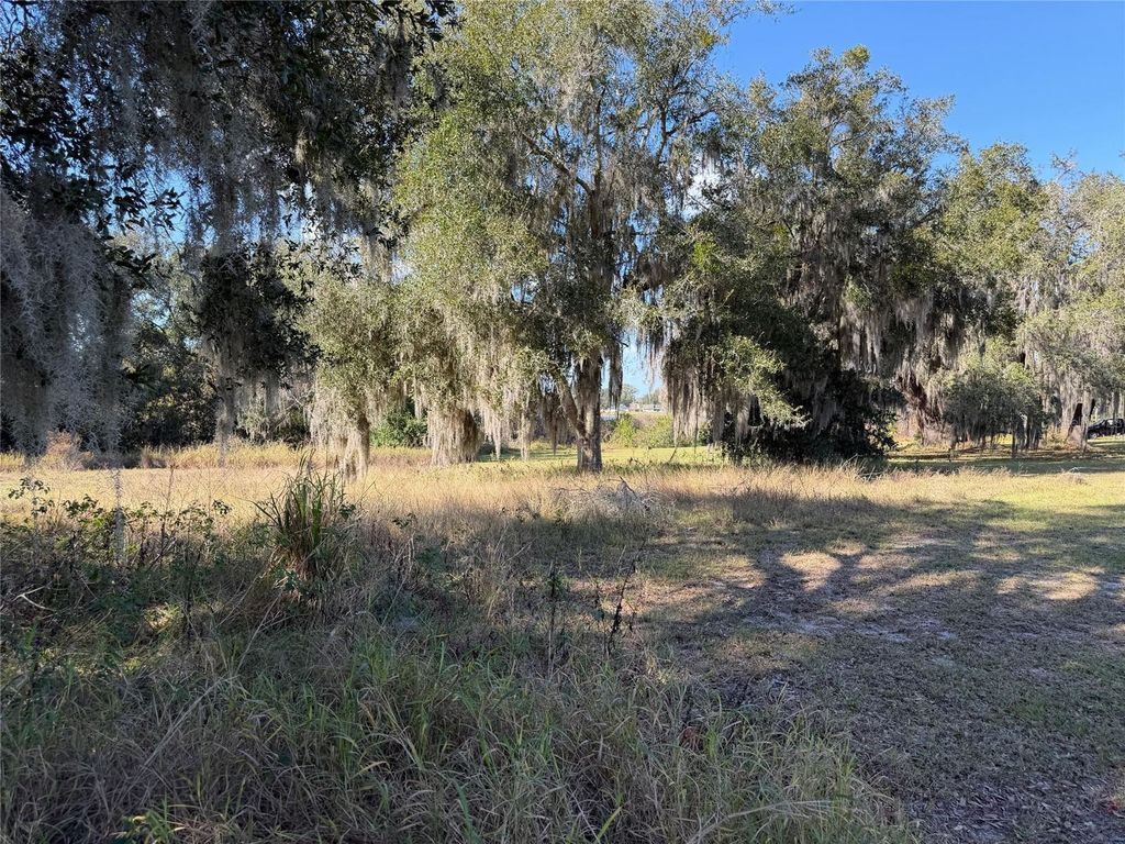 Photo of Mohawk Street, Mascotte, FL 34753 (MLS # TB8458528)