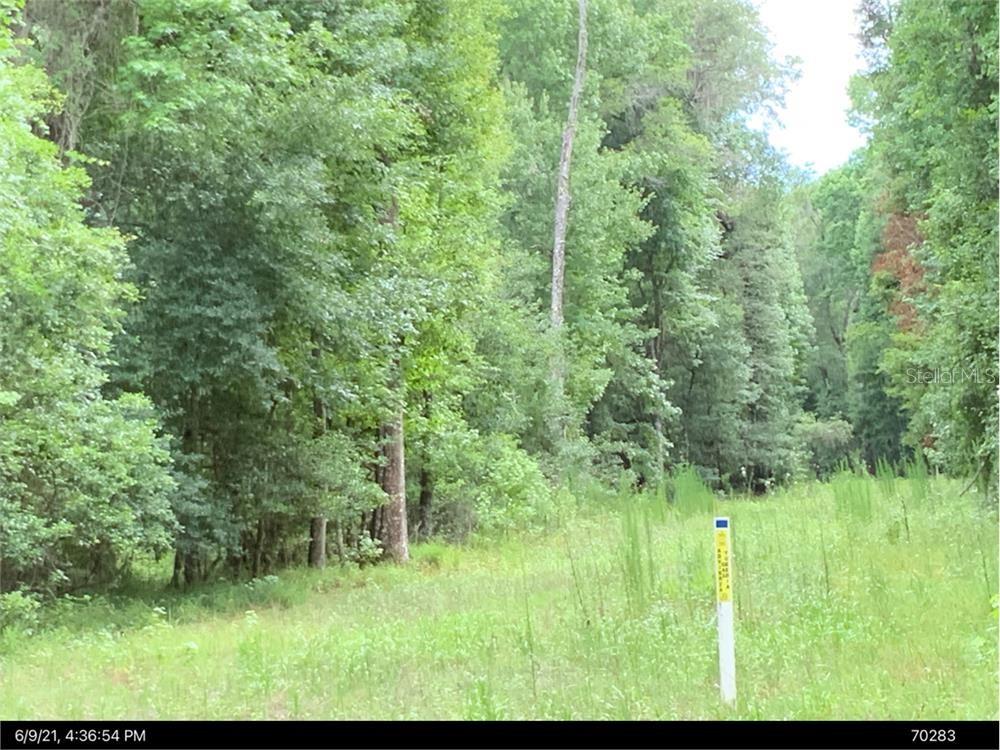 This beautiful wooded lot is located conveniently between Williston and Gainesville Florida just off of Williston Road (SR 121). The location is perfect for shopping, university convenience, and is near VA Hospital and Shand's Hospital. You get the best of both worlds at this location, in the country and near to the city.