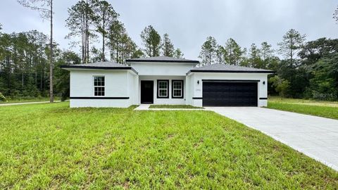 Photo of 2456 W Magenta Drive, Citrus Springs, FL 34434 (MLS # O6328173)
