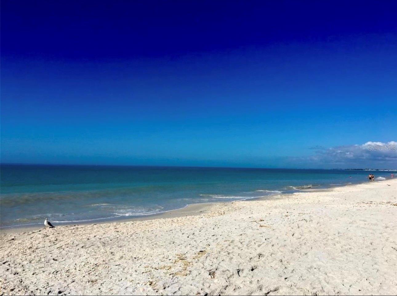 PORT CHARLOTTE SUB 23 - Land
