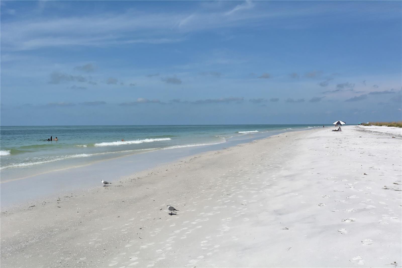 WHITAKER BAYOU - Residential