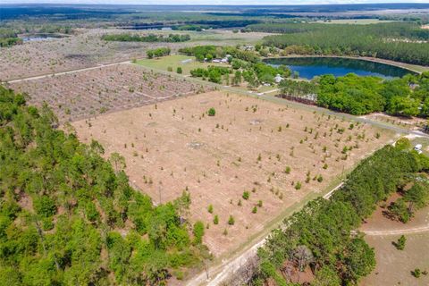 Tiny photo for SE 170th Avenue, Weirsdale, FL 32195 (MLS # G5110297)