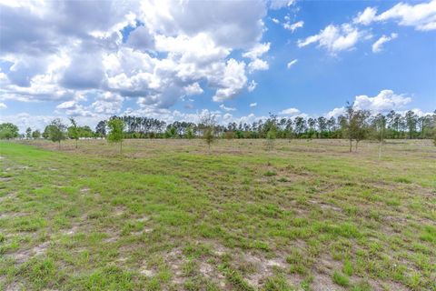 SE 170TH AVENUE WEIRSDALE FL 32195