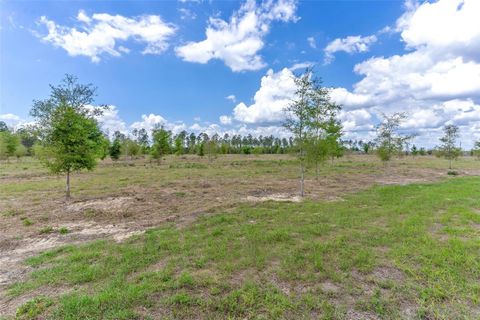 Tiny photo for SE 170th Avenue, Weirsdale, FL 32195 (MLS # G5110297)