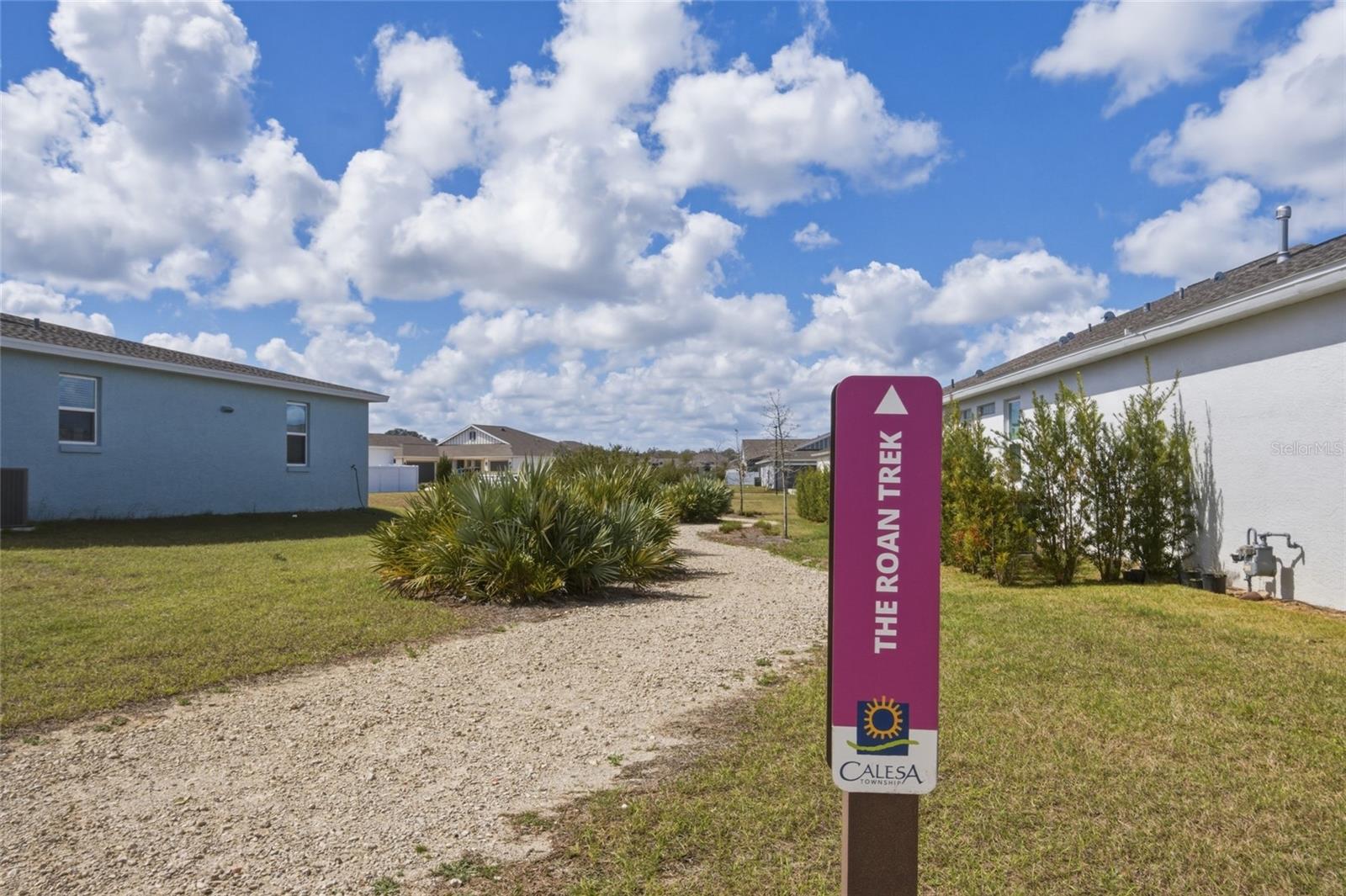 CALESA TOWNSHIP ROAN HILLS PH - Residential