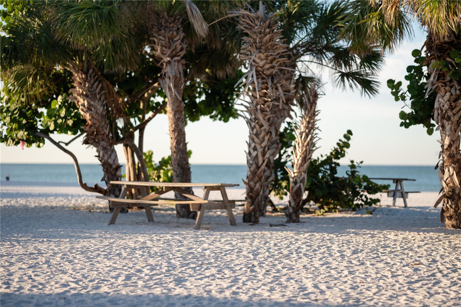 SARASOTA SPGS - Residential