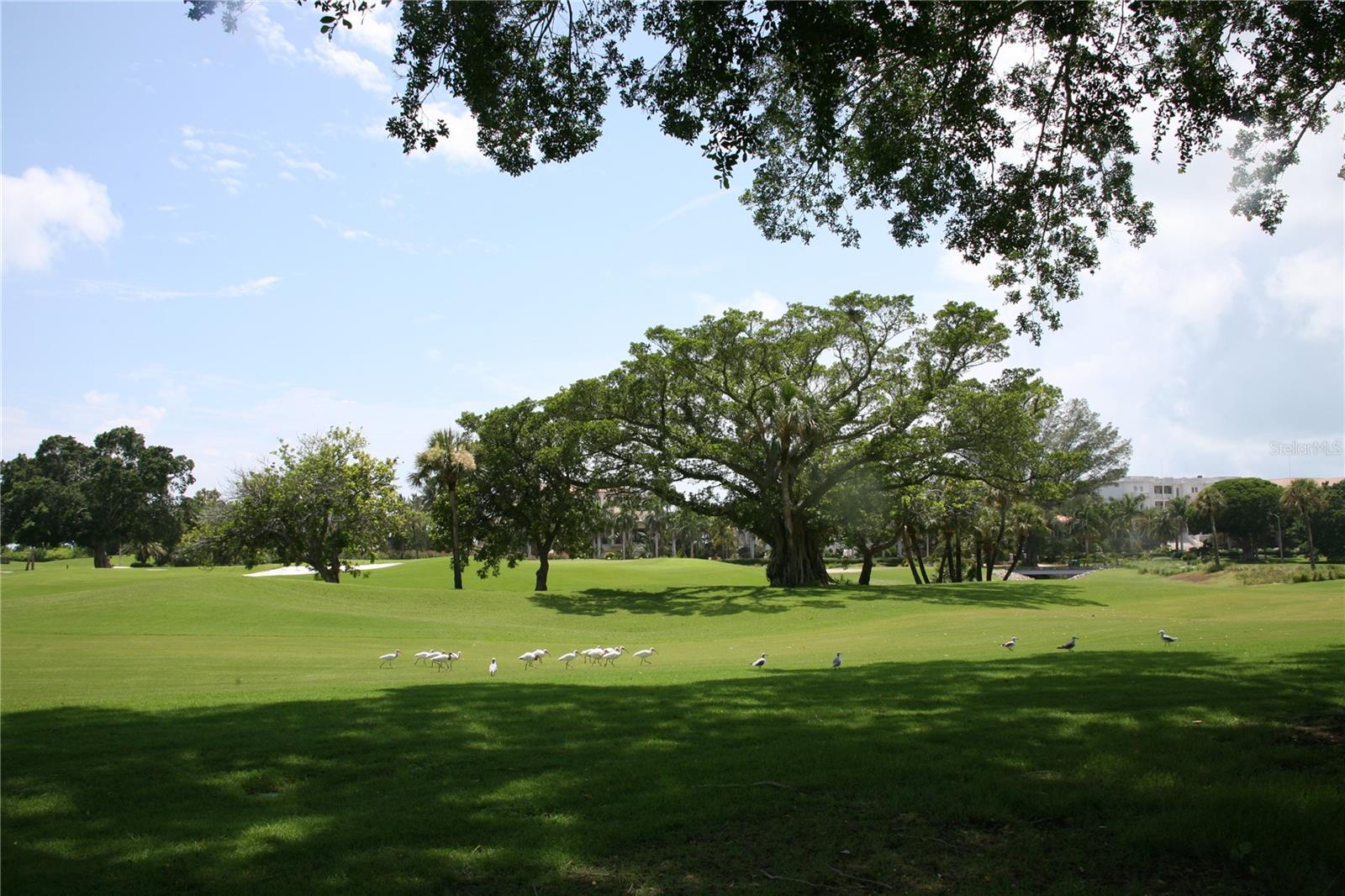 SARASOTA SPGS - Residential