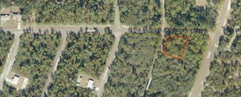 0 FISHER WAY OCKLAWAHA FL 32179