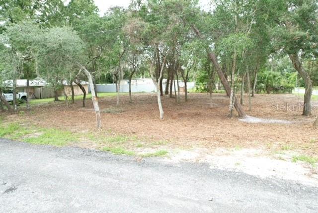 LUELLA AVENUE
