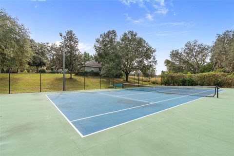 Tiny photo for 36839 Wolf Court, Eustis, FL 32736 (MLS # G5104188)