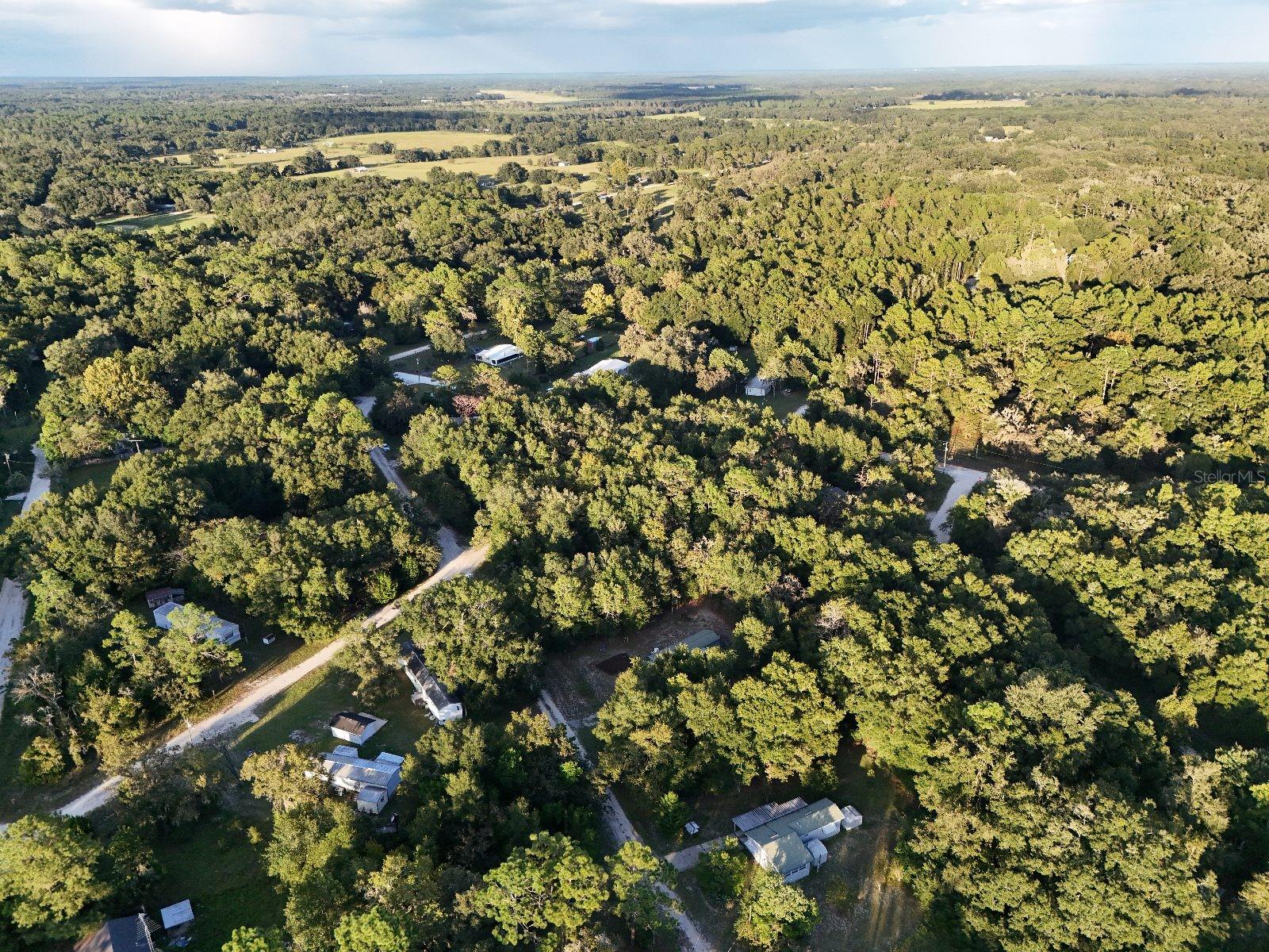 WILLISTON HYLNDS GOLF & C CLUB ESTATE - Land