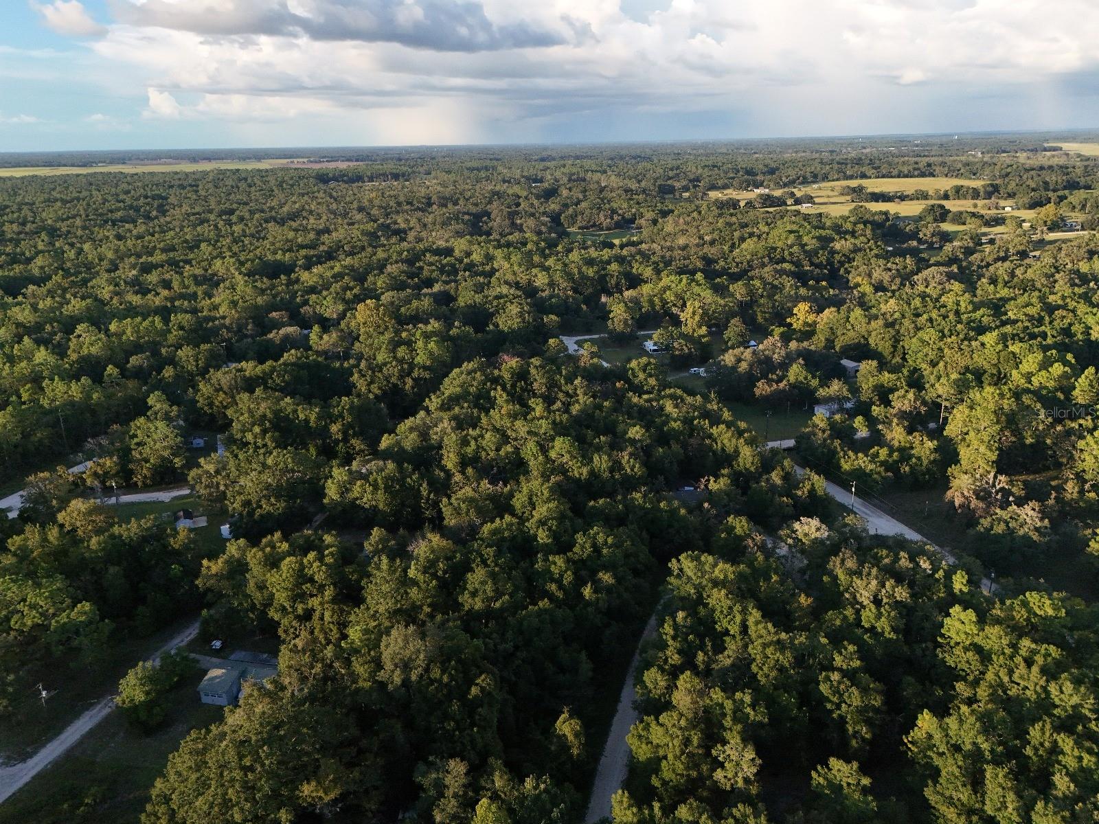 WILLISTON HYLNDS GOLF & C CLUB ESTATE - Land