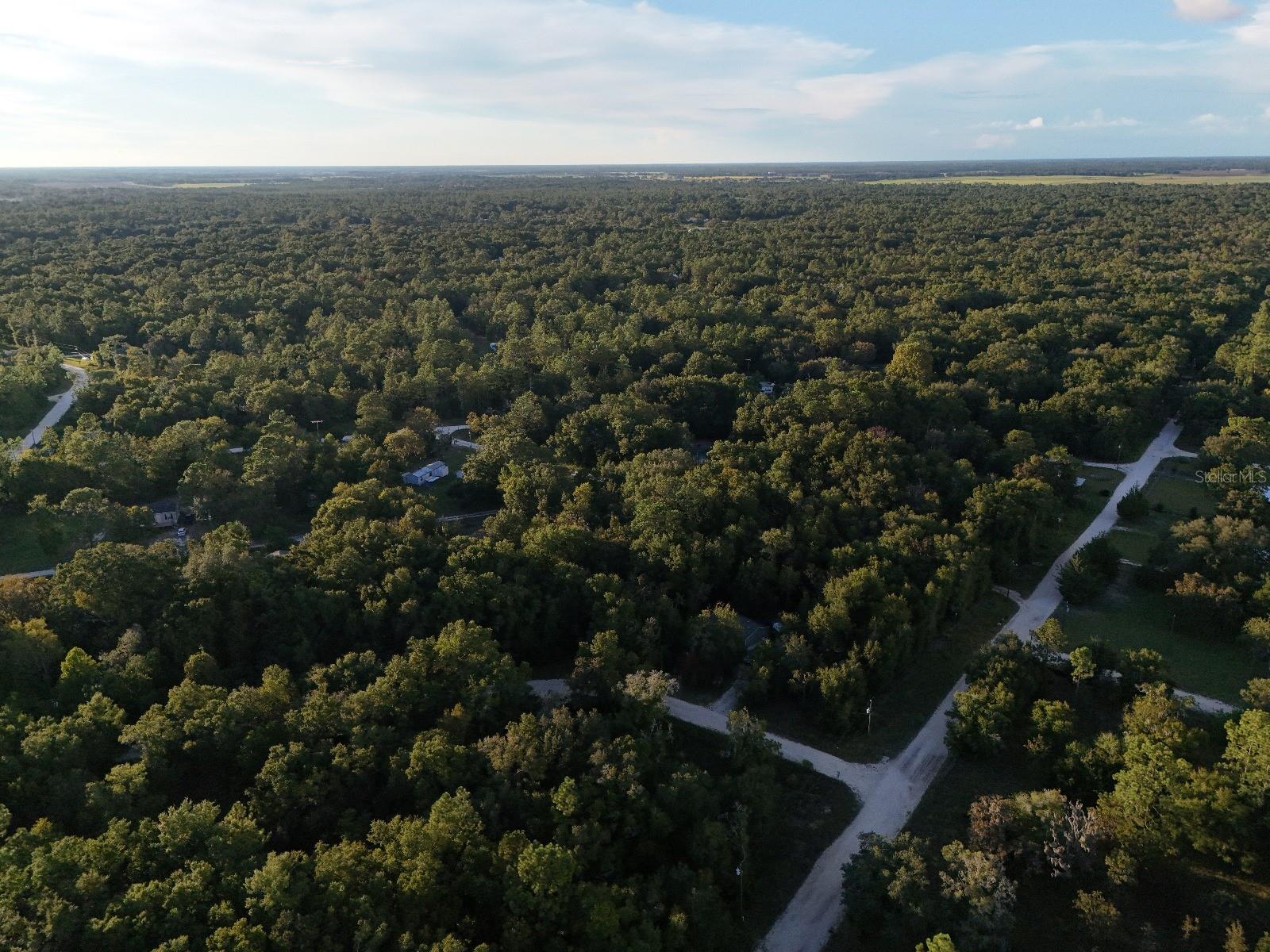 WILLISTON HYLNDS GOLF & C CLUB ESTATE - Land