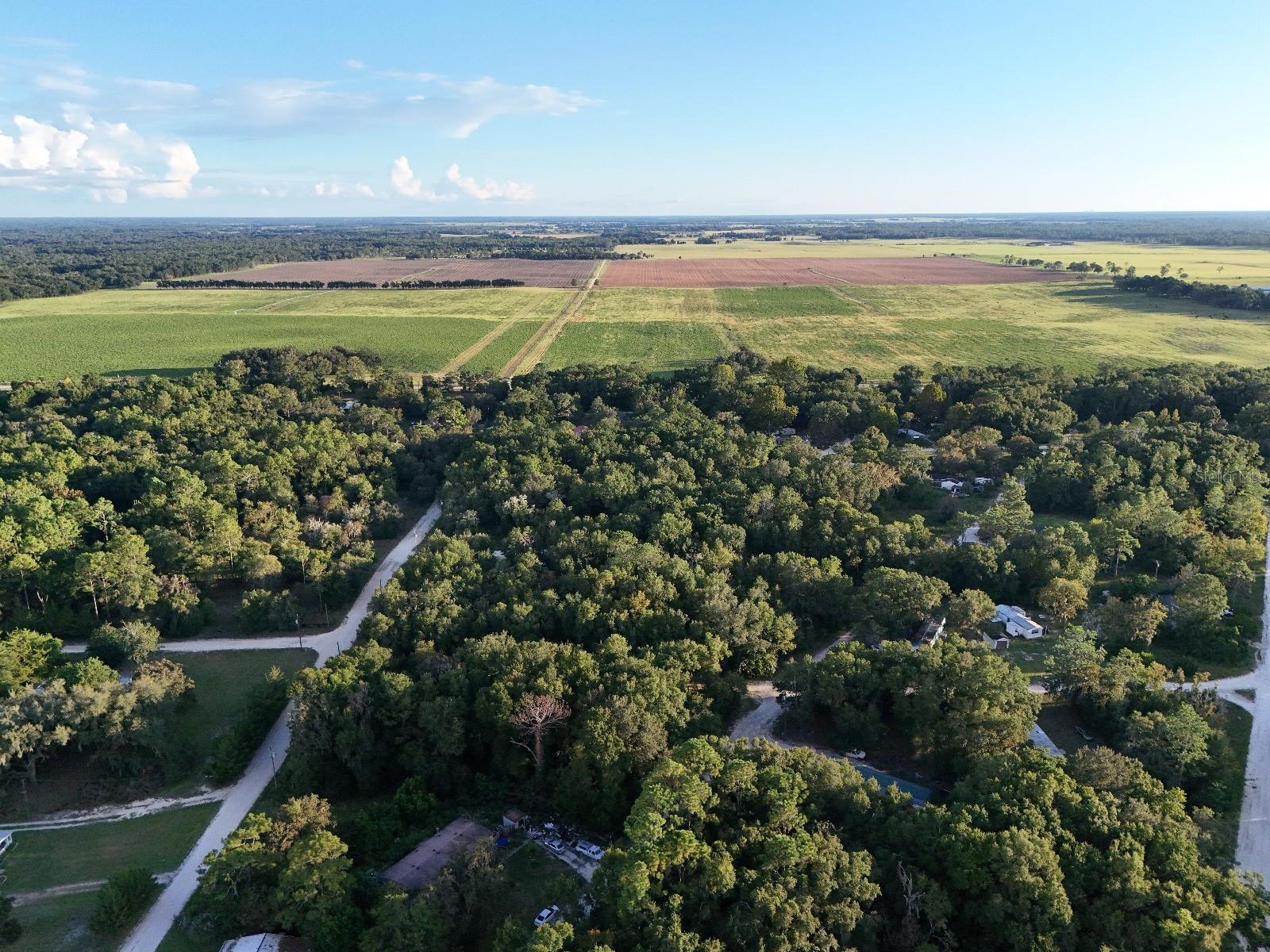WILLISTON HYLNDS GOLF & C CLUB ESTATE - Land