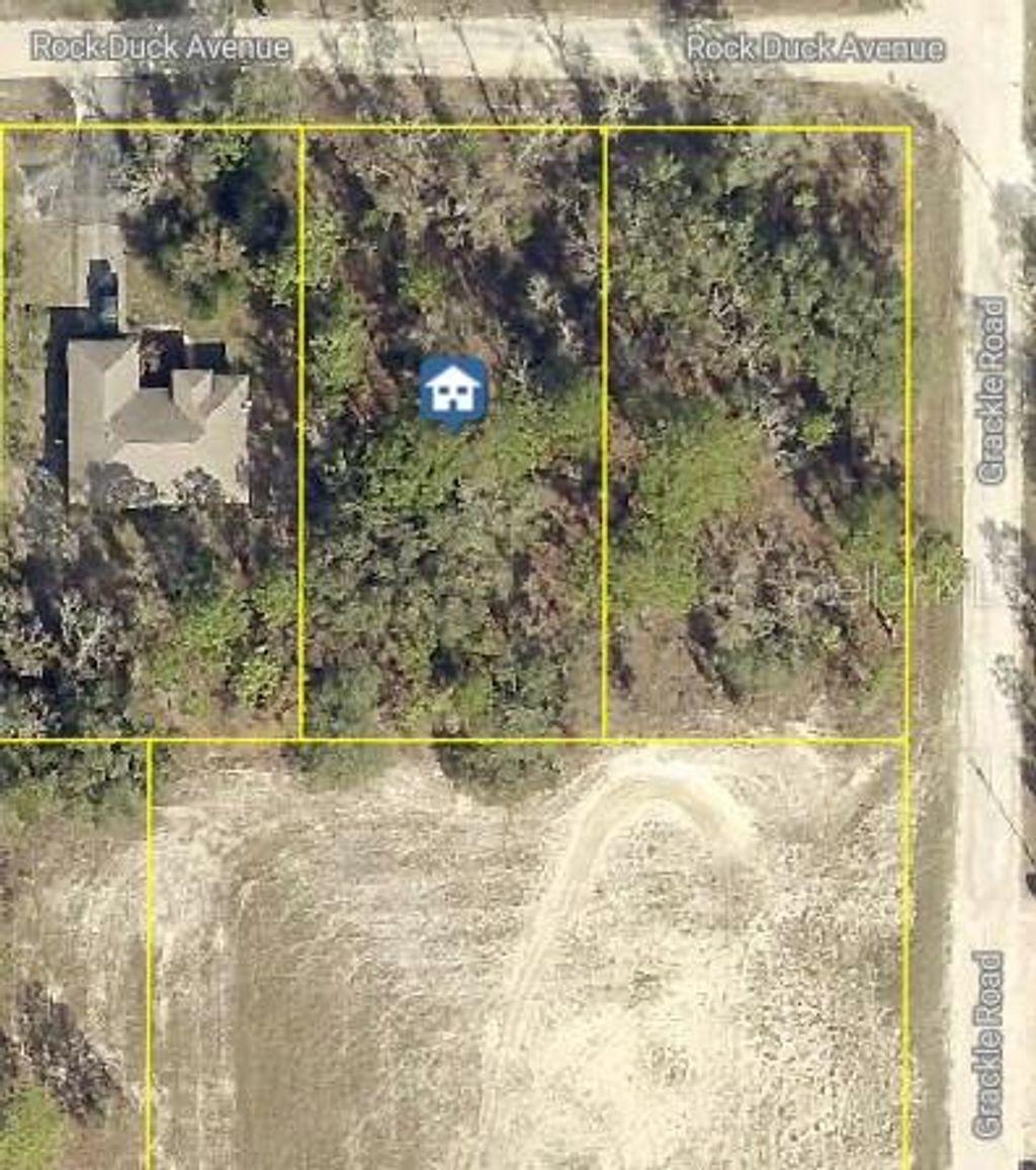 Photo of 13012 Rock Duck Avenue, Weeki Wachee, FL 34614 (MLS # W7880052)