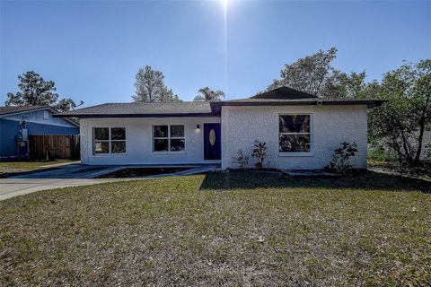 A home in BRANDON