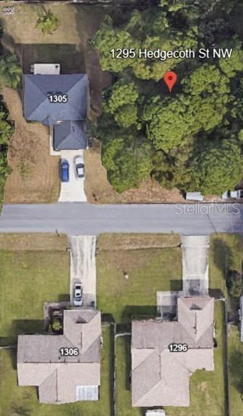 1295 HEDGECOTH STREET NW PALM BAY FL 32907
