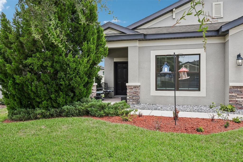 Photo of 8210 Mallow Mirror Lane, Land O Lakes, FL 34637 (MLS # TB8517875)