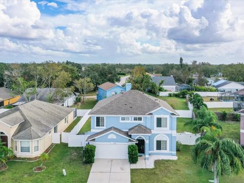 A home in RIVERVIEW