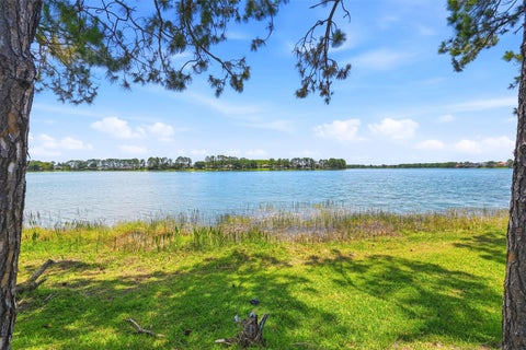 Photo of 14620 Cableshire Way, Orlando, FL 32824 (MLS # O6417401)