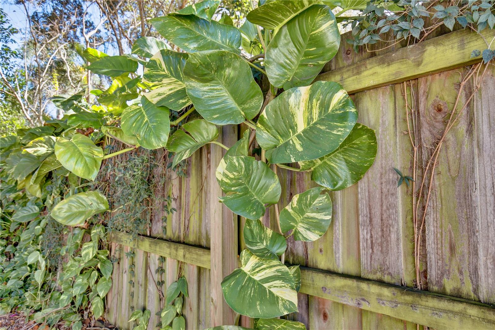 CRYSTAL LAKE TERRACE - Residential