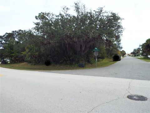 A home in PALM COAST