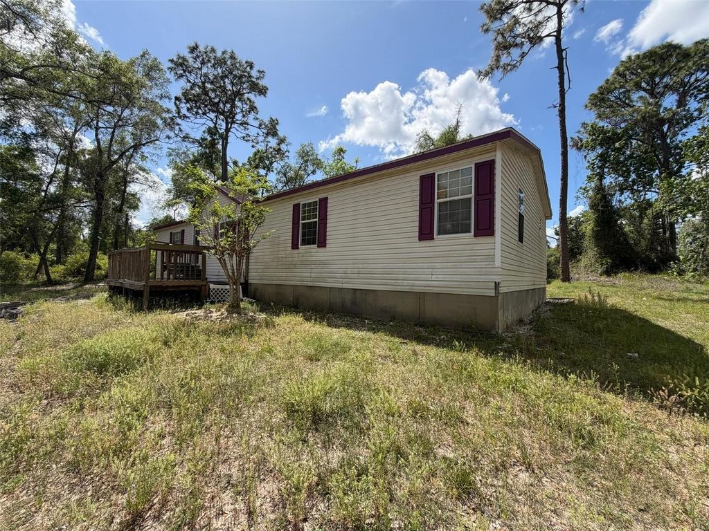 Photo of 7157 Dentala Street, Brooksville, FL 34604 (MLS # O6397710)