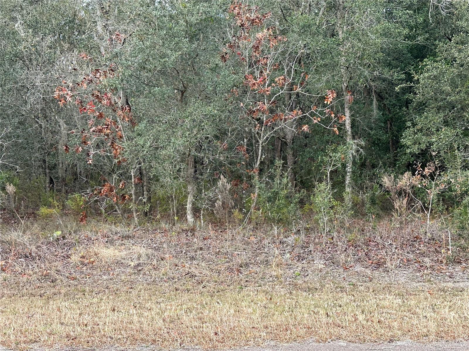 LEISURE ACRES UNIT 03 - Land