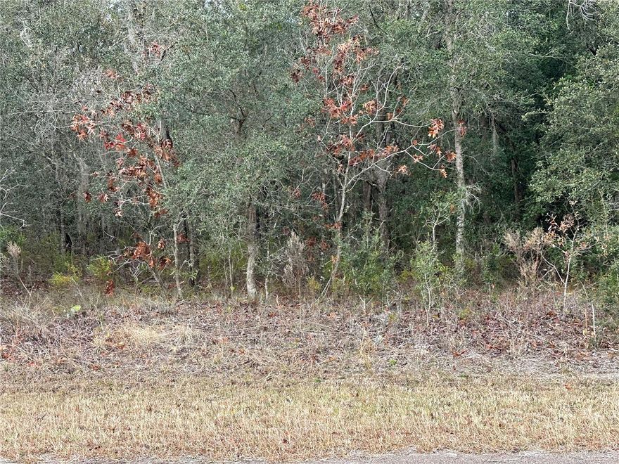 Only 3 miles away from the Suncoast Parkway! Discover the perfect canvas for your dream home on this buildable lot in Lecanto, zoned RURMH and sitting on 1.24 acres. Embrace the serenity of country life while still being conveniently located near shopping and various amenities. Don't miss out on the opportunity to own this peaceful piece of land, Call today!