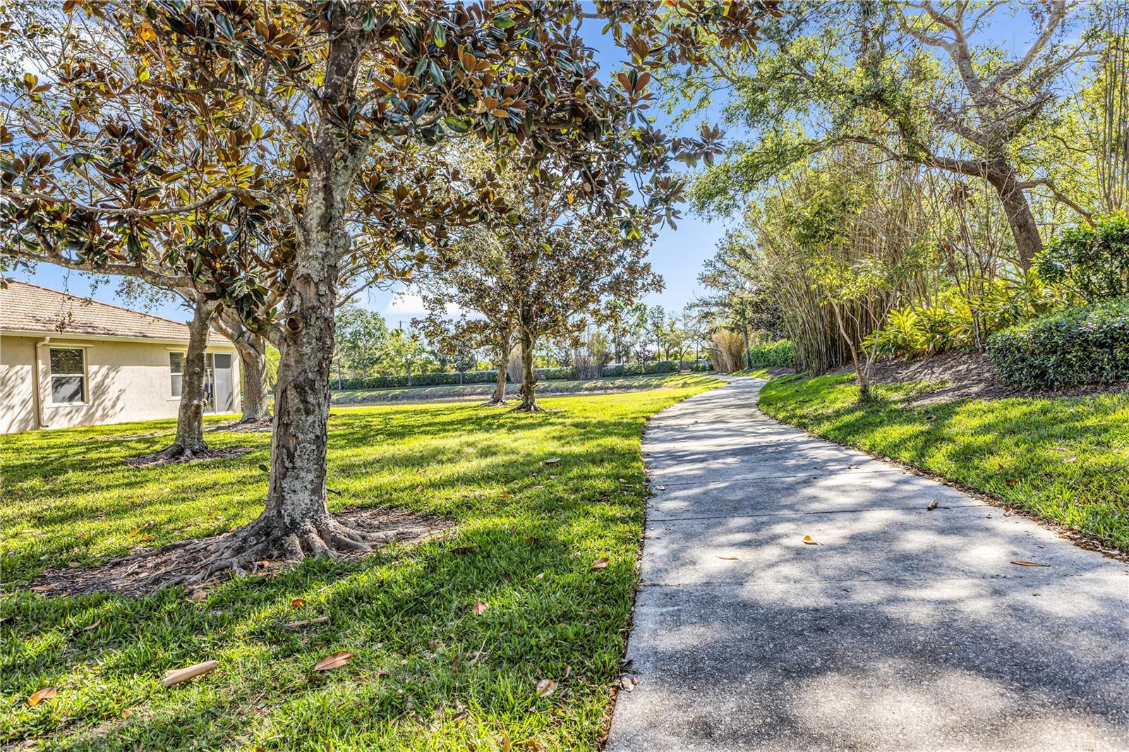 4136 CASCADE FALLS DRIVE