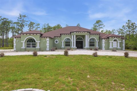 Photo of 18043 Palmdale Road, Weeki Wachee, FL 34614 (MLS # O6406990)