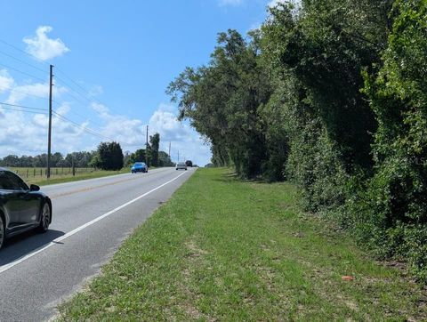 Tiny photo for 6350 N Florida Avenue, Hernando, FL 34442 (MLS # A4694617)