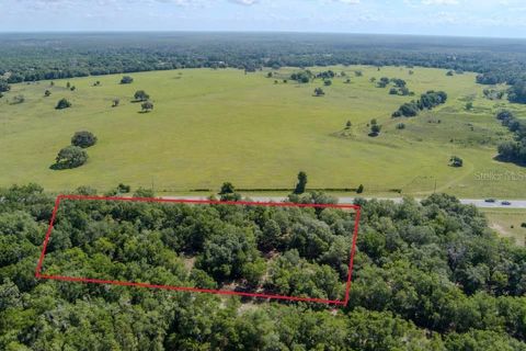Tiny photo for 6350 N Florida Avenue, Hernando, FL 34442 (MLS # A4694617)