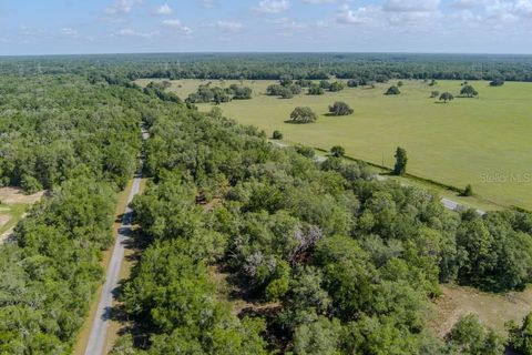 Tiny photo for 6350 N Florida Avenue, Hernando, FL 34442 (MLS # A4694617)
