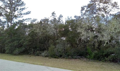 Tiny photo for SW 24th Circle, Ocala, FL 34473 (MLS # OM734467)