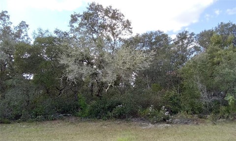 Photo of SW 24th Circle, Ocala, FL 34473 (MLS # OM734467)