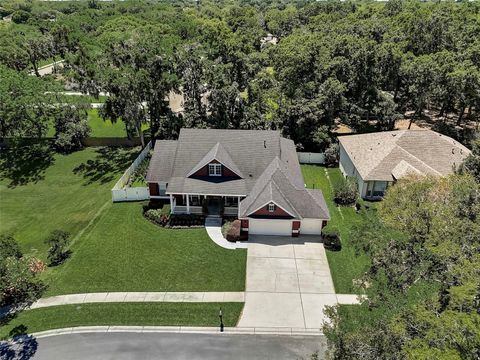 A home in VALRICO