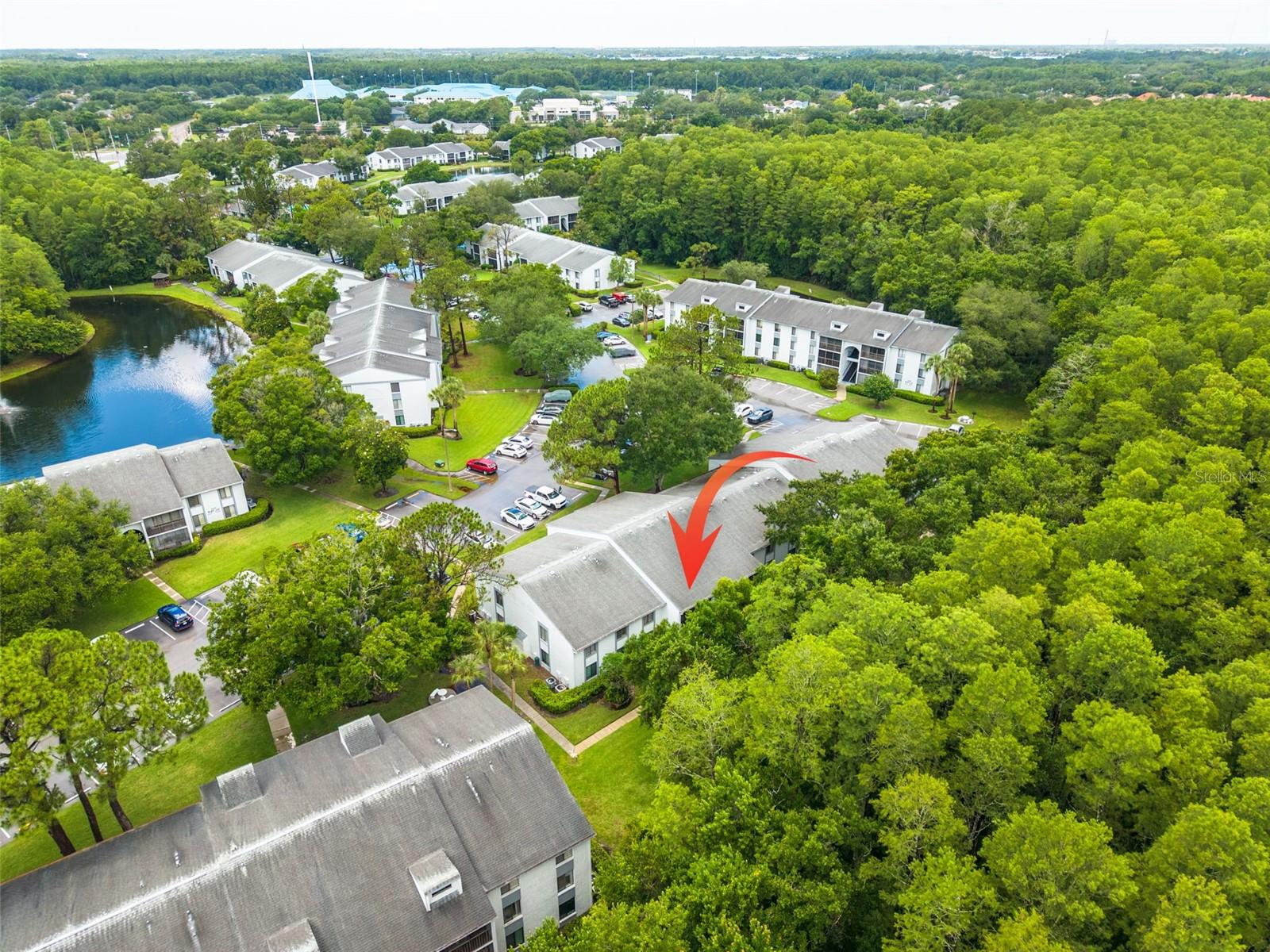 PINE RIDGE AT LAKE TARPON VILLAGE - Residential