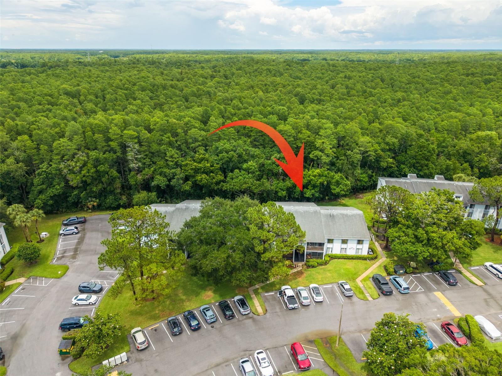 PINE RIDGE AT LAKE TARPON VILLAGE - Residential
