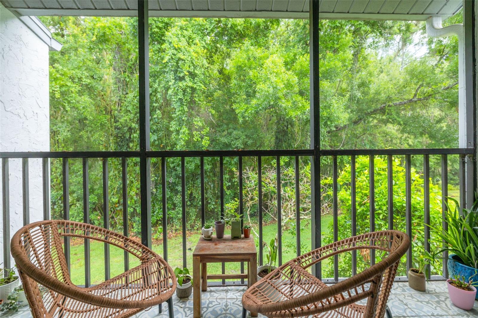 PINE RIDGE AT LAKE TARPON VILLAGE - Residential