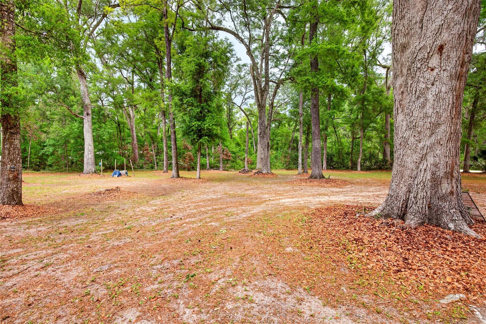 KING WOODLANDS - Residential