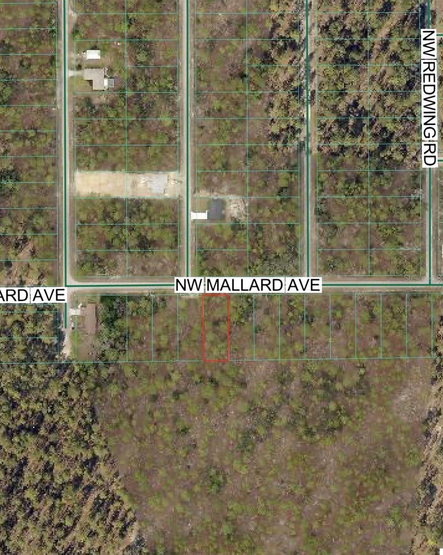 Build your home on this beautiful wooded R1-zoned lot in Dunnellon! Nestled in a peaceful setting, this property offers the perfect blend of privacy and natural surroundings while still being conveniently located near local amenities, shopping, and outdoor recreation. With plenty of mature trees, you can design your ideal homesite while maintaining the charm and shade of Florida’s natural landscape. Zoned for site-built homes, this property is ready for your vision—whether you’re looking to build now or invest for the future. Don’t miss this opportunity to own a slice of Florida living!