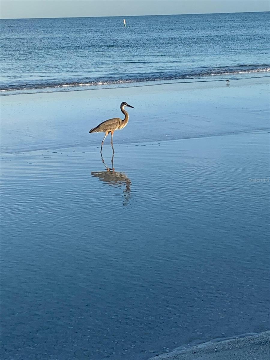 HARBOUR CLUB CONDO 3 - Residential