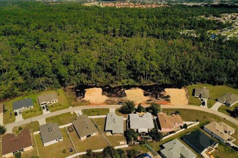 A home in KISSIMMEE