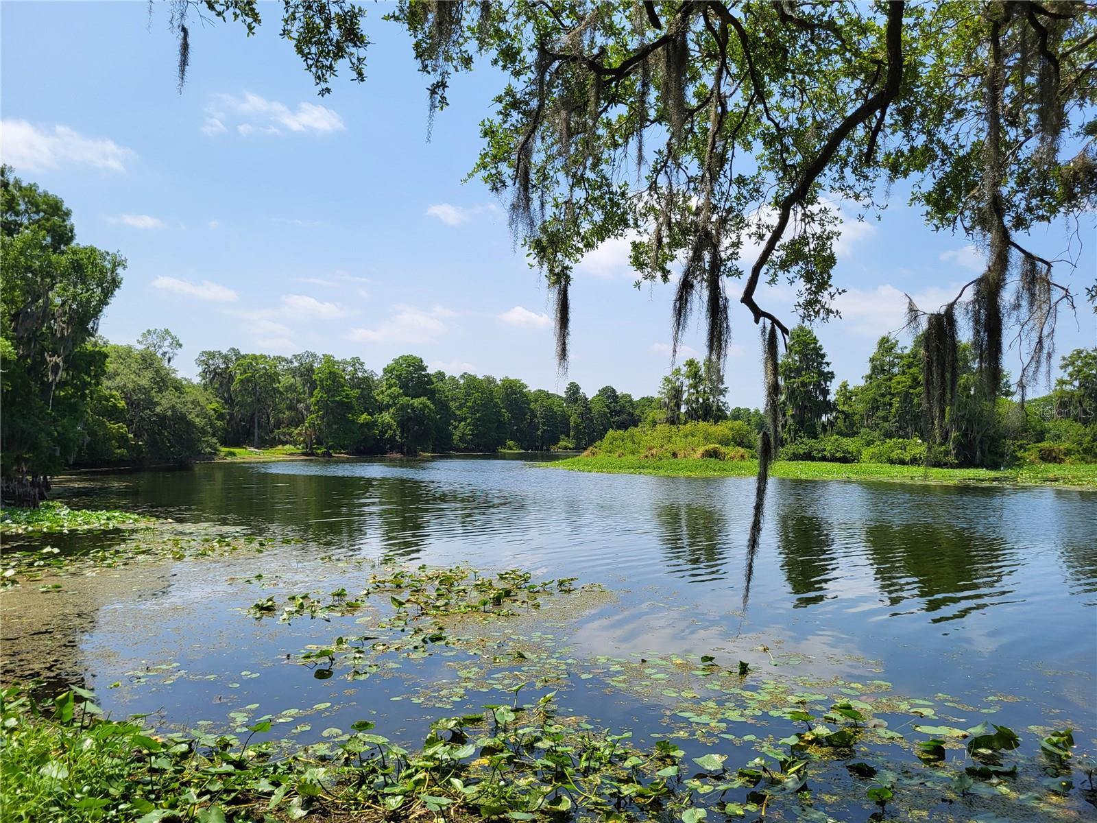 TEMPLE TERRACE RIVERSIDE SUBDI - Residential